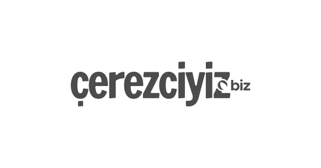 1 cerezciyiz 